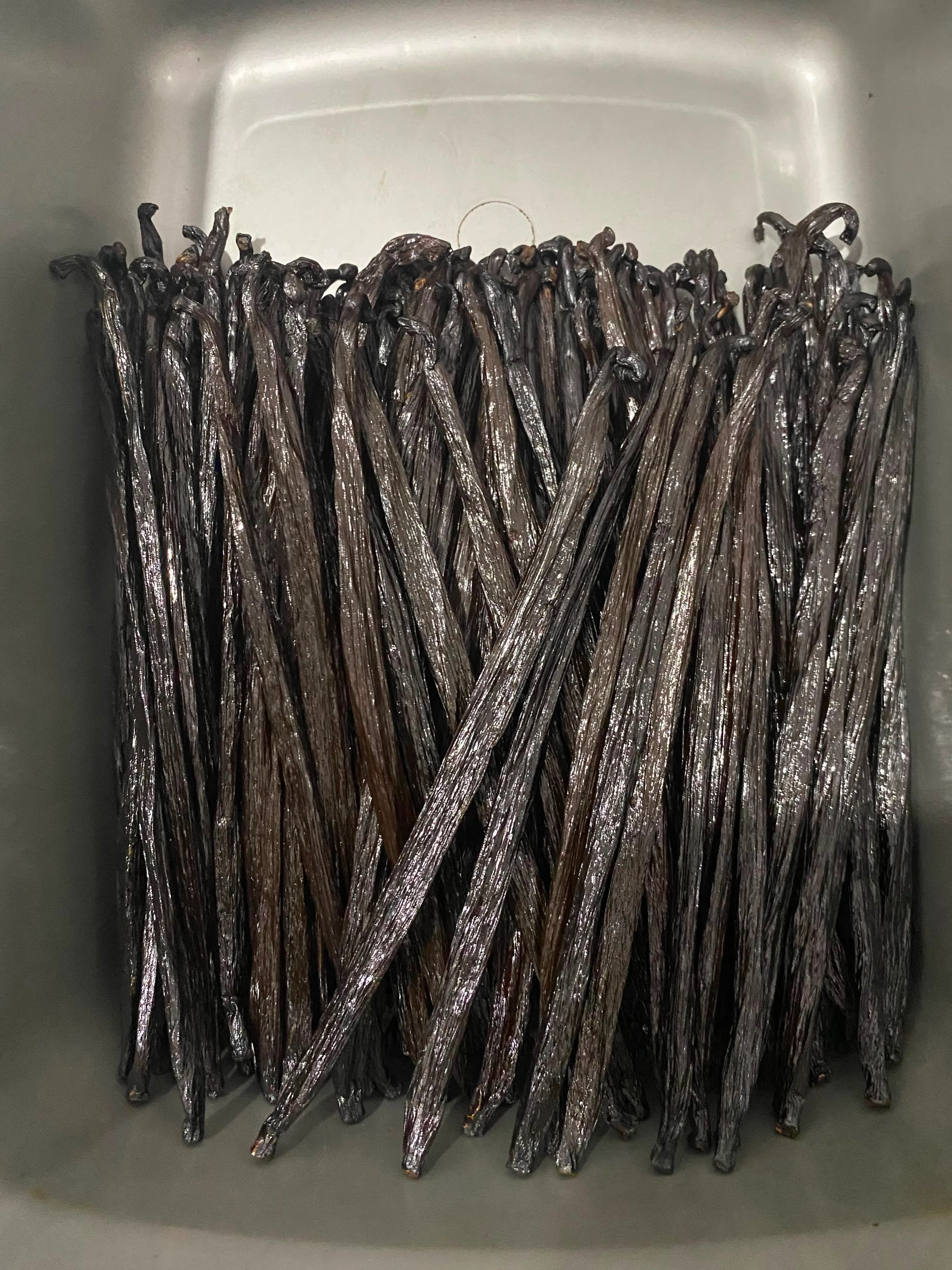 Curing Process